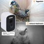Dobar Nistkasten Eazy: Vögel im Nest, Tageslicht- und Infrarot-Nachtsicht der HD WiFi-Kamera.