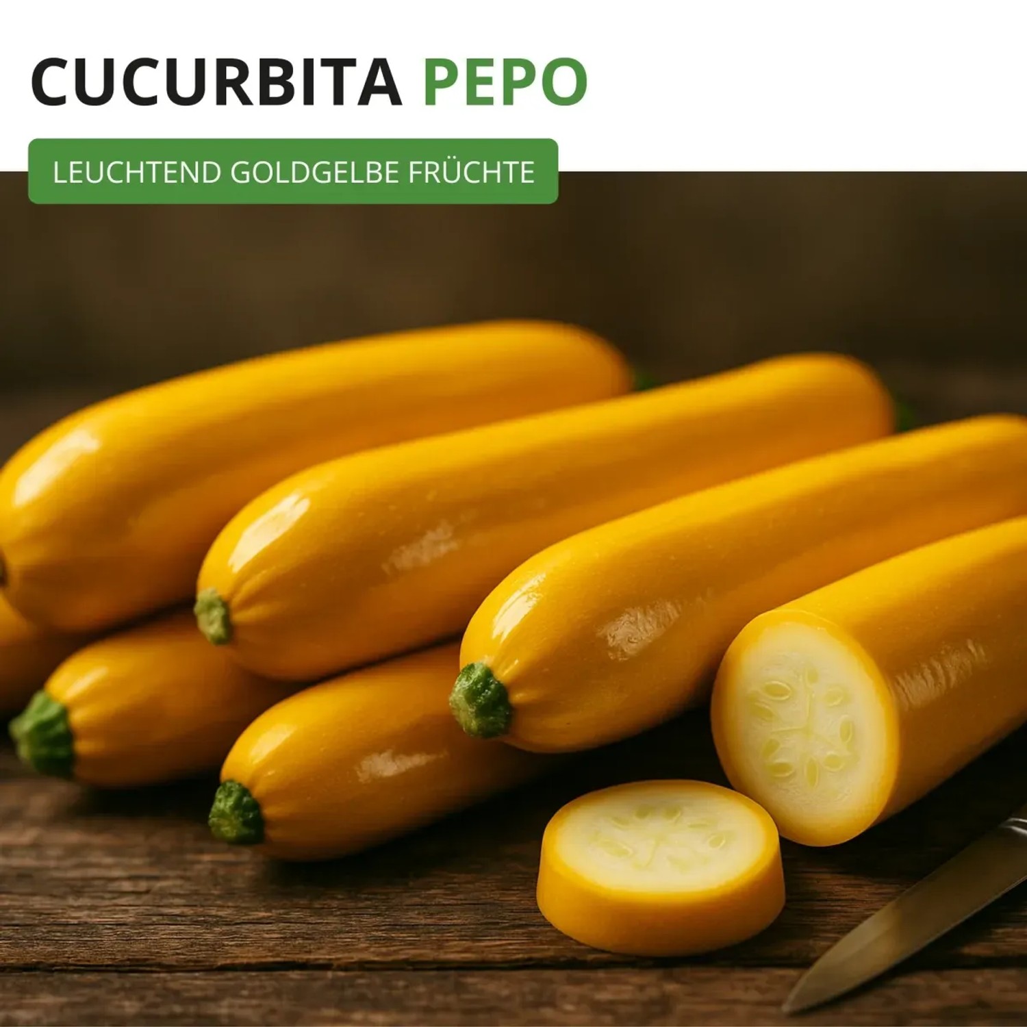 Goldgelbe Zucchini 'Gold Rush F1' Samen von Deine Gartenwelt, Gemüsesamen für ertragreiche Ernte.