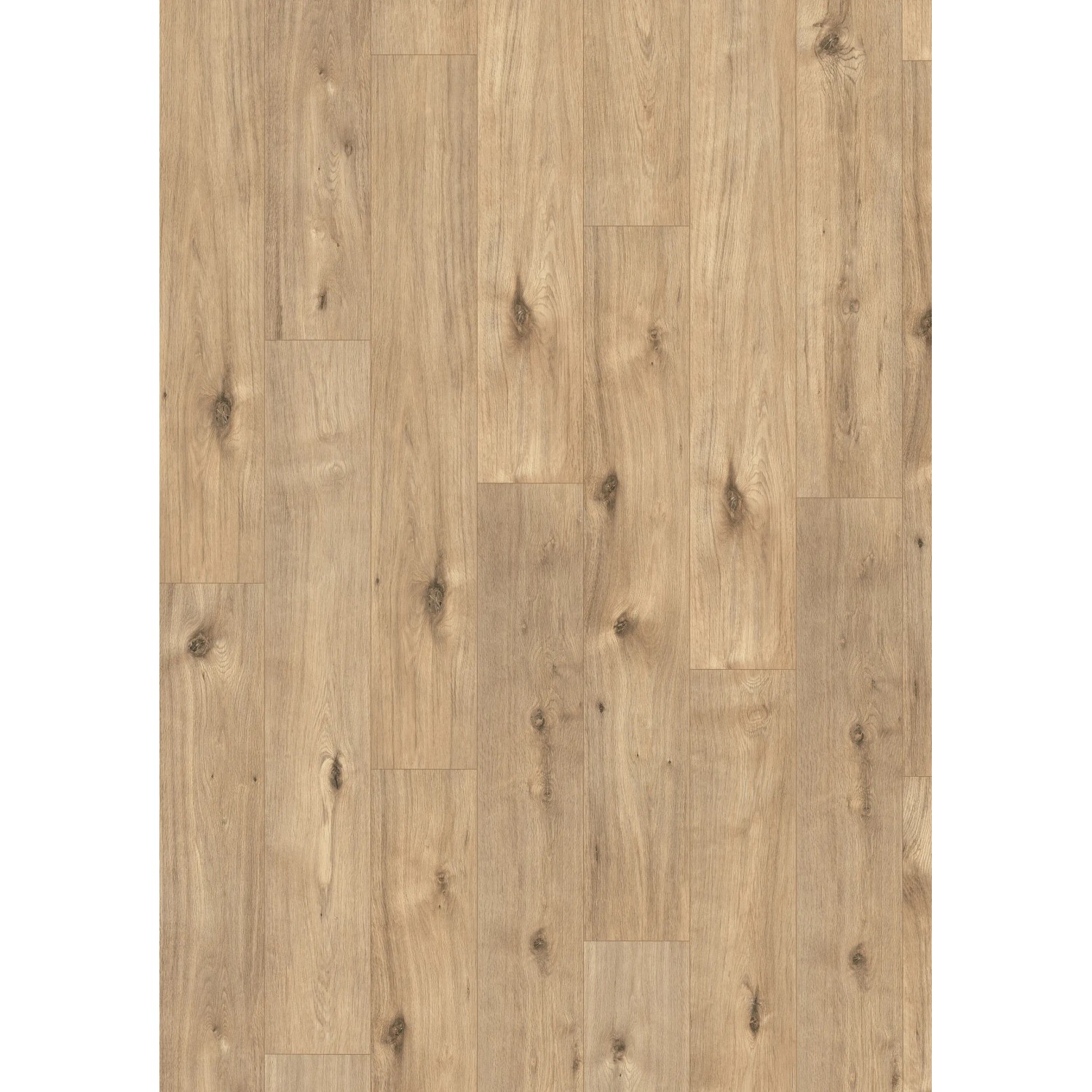 Egger Laminatboden EL1061 NatureSense Achensee Eiche, helle Landhausdielen mit Aststruktur.