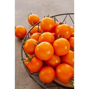 Orange Tomaten "Orange Veredelt" im Korb, ideal für Salate und zum Rohverzehr.