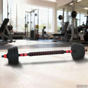 vidaXL 2-in-1 Hantelset, 20kg, schwarz-rot, für Sport & Fitness zu Hause.