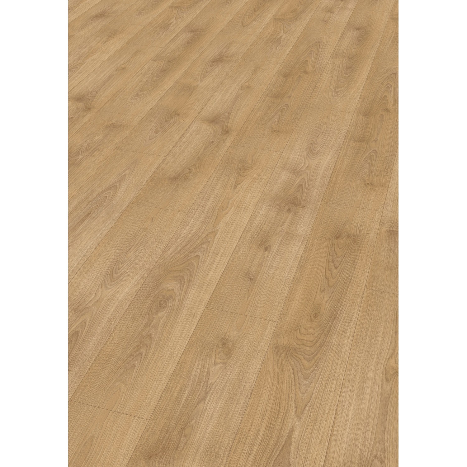 Egger NatureSense Laminat Eiche Nord, 8mm stark. Laminatboden in hellbrauner Holzoptik.