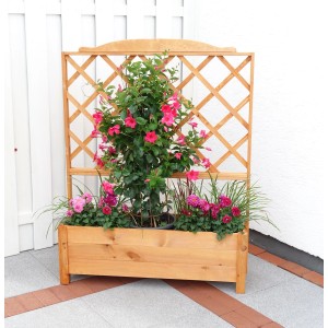 Holz Rankkasten Botanica 110x32x140cm mit Rankgitter und Bepflanzung.
