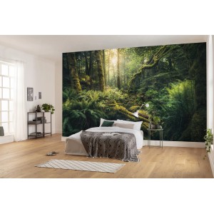 Vlies Fototapete Elves Cathedral: Waldlandschaft mit üppigem Grün im Schlafzimmer.