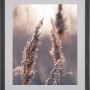 Schwarzer Holzbilderrahmen (50x70 cm) mit breitem Profil und Passepartout für Fotos oder Poster.