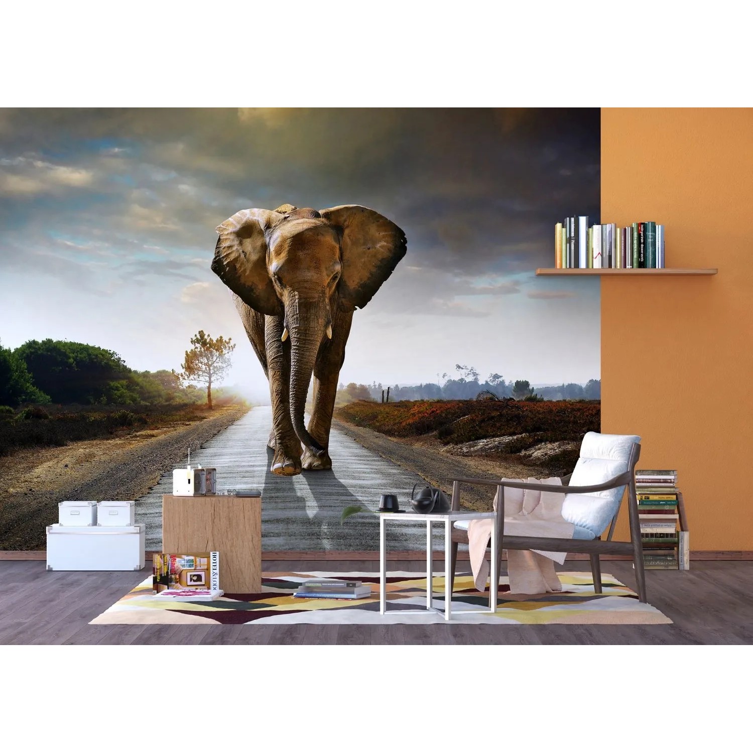 Sanders Fototapete Elefant beige, grau, blau, 360x270cm. Elefant auf Straße im Sonnenlicht.