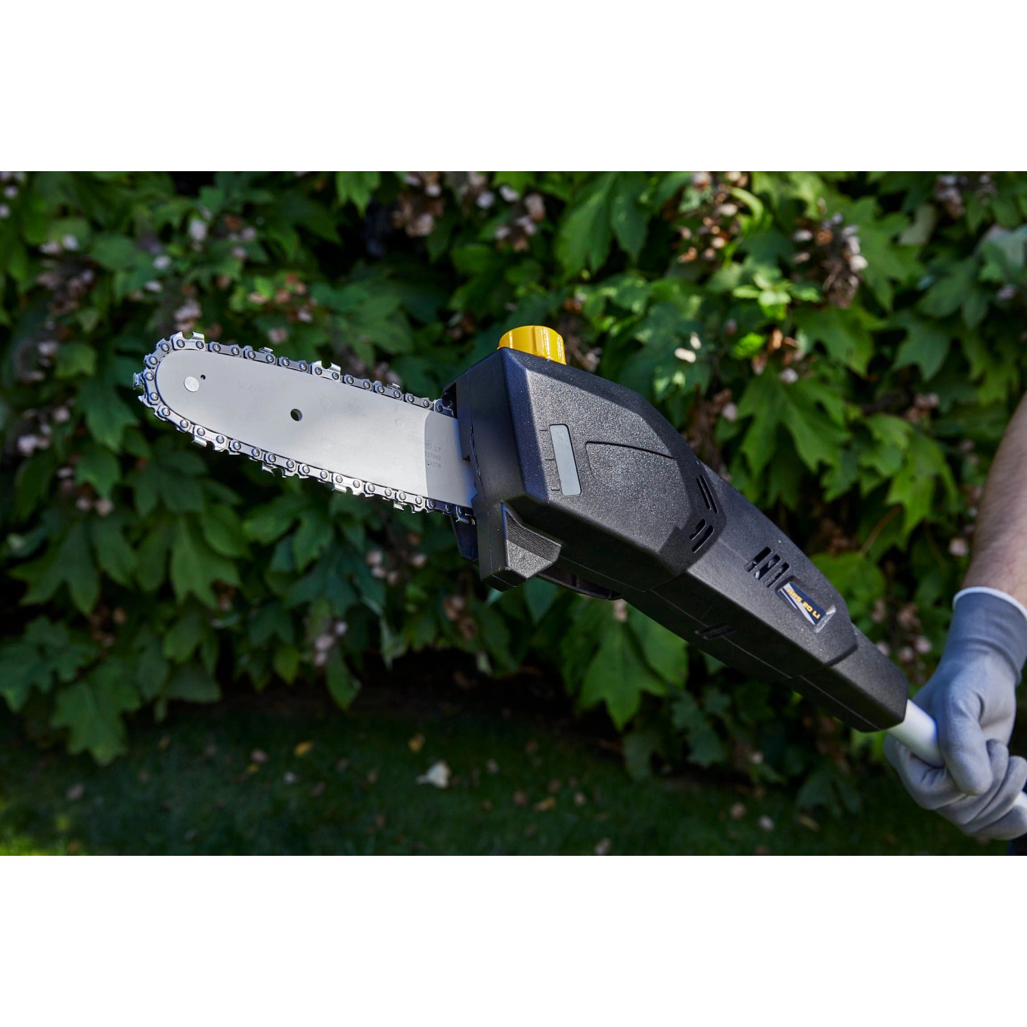 Alpina Akku-Multitool AMT 20 Li mit Hochentaster-Aufsatz vor grüner Hecke.