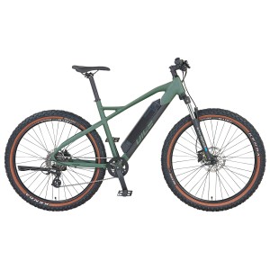 Prophete E-Bike MTB Dice 1.0, bronze-grün matt, 27,5 Zoll. Hardtail Mountainbike mit E-Antrieb.