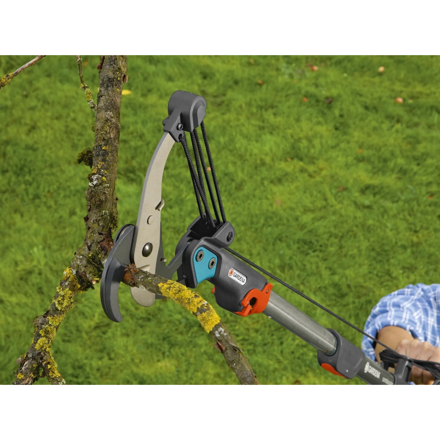 Gardena Amboss-Baumschere schneidet Ast. Gartenschere mit Rollenübersetzung für trockene Äste.