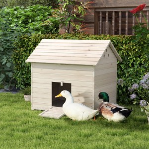 Helles Entenhaus aus Tannenholz mit Rampe im Garten. Zwei Enten davor. Aufklappbares Dach, erhöhter Boden.