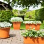 Florus Pflanztöpfe Cilindro in Terrakotta, verschiedene Formen und Größen mit Bepflanzung.