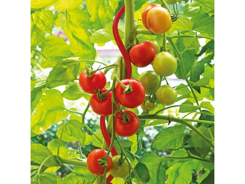 H&S Tomatenspiralstab Set – 10 Stück, 110 Cm, Verzinkter Stahl, 6 Mm Stärke, Für Rankpflanzen