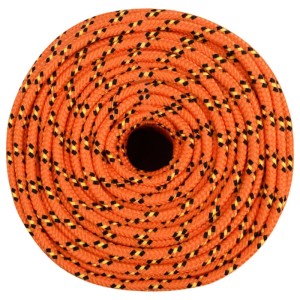 vidaXL Bootsseil Orange 6 mm 100 m Polypropylen 152657