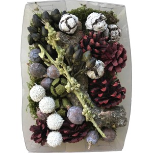 Bastelmix mit getrockneten Blättern, Blüten, Zapfen in Grün und Rot für Gartendeko.