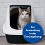 Katze in Katzentoilette, geeignet zur Anwendung mit Bactazol Desinfektionsmittel in der Tierumgebung.