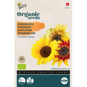 Sonnenblume 'Compact Spray Mischung' Buzzy Organic Bio Samen Ca. 1 g Kompakter Wuchs