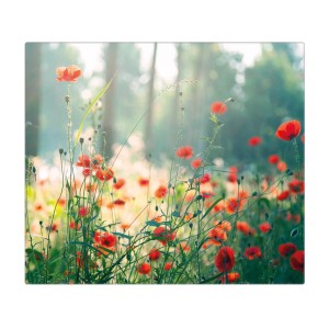 Banjado Herdabdeckplatte Glas mit Waldmohn Motiv, auch als Schneidebrett nutzbar.