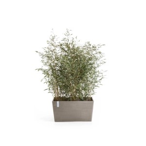 Ecopots Pflanztopf Paris, braungrauer Pflanzkübel (60 cm) mit Bepflanzung.