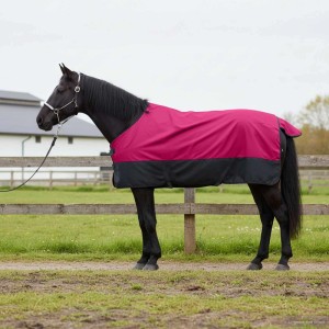 Pferd mit rosa-schwarzer vidaXL Pferdedecke, atmungsaktiv und wasserdicht.