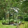 Schwarzes Halls Gewächshaus Qube 66 mit Pflanzen im Garten.