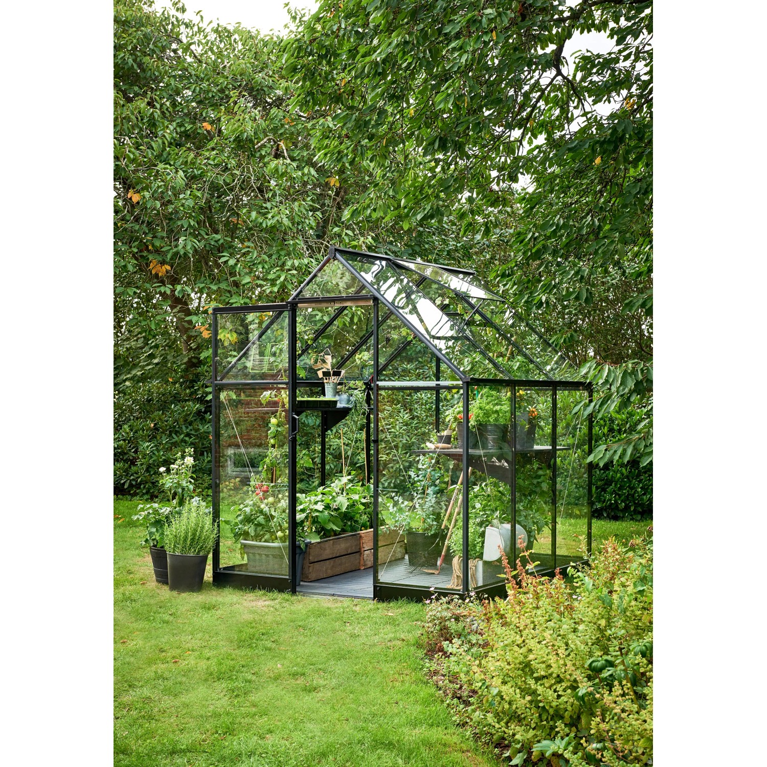 Schwarzes Halls Gewächshaus Qube 66 mit Pflanzen im Garten.