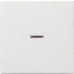 Gira Wippe Standard55 reinweiß mit Kontrollfenster für Schalter.