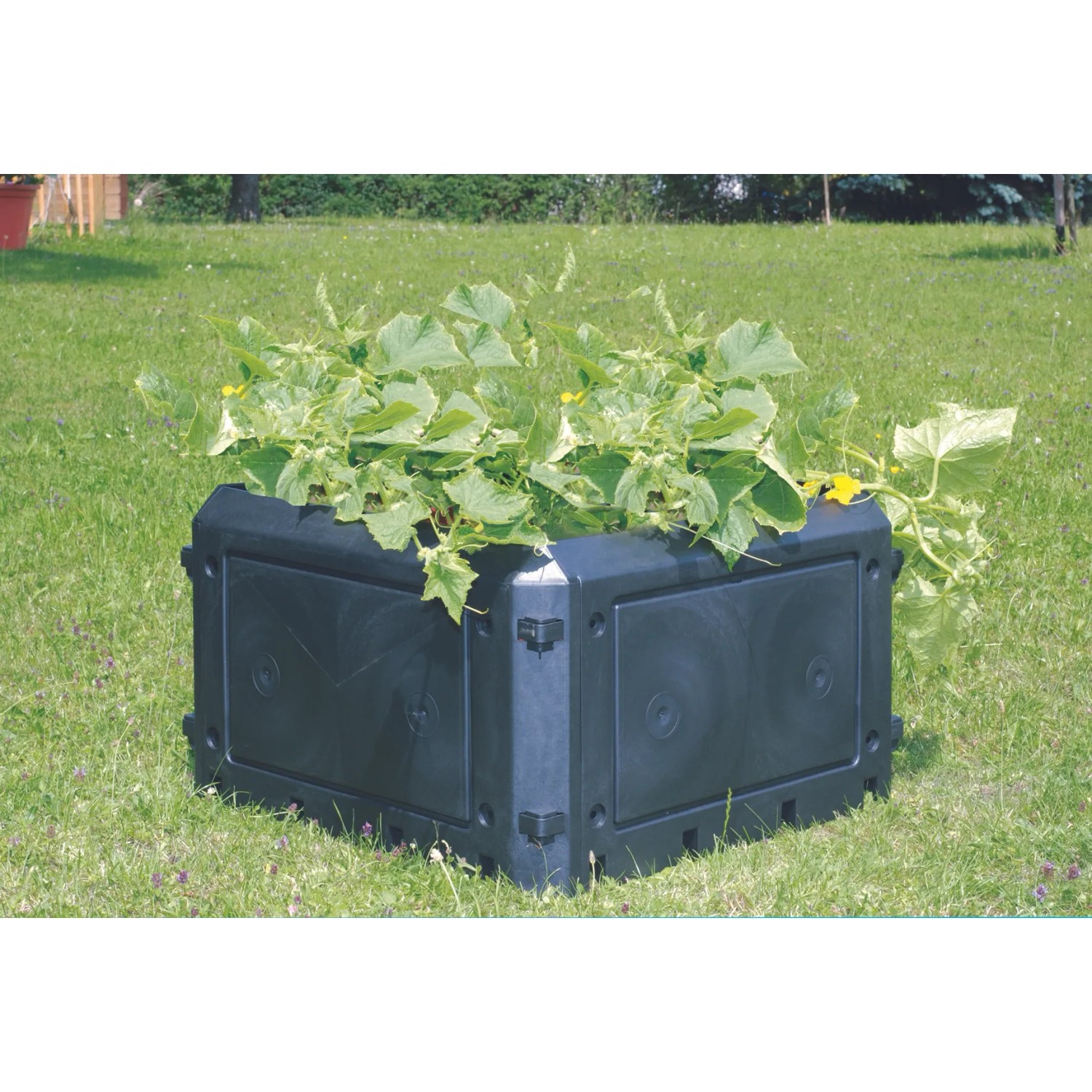 Anthrazitfarbener KHW Komposter Bio-Quick Aufbauset (230 l) ohne Deckel, bepflanzt im Garten.