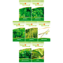 Deine Gartenwelt Cocktail Kräuter Samen-Set mit 7 Sorten: Basilikum, Minze, Thymian, Rosmarin, Zitronengras, Melisse, Salbei.