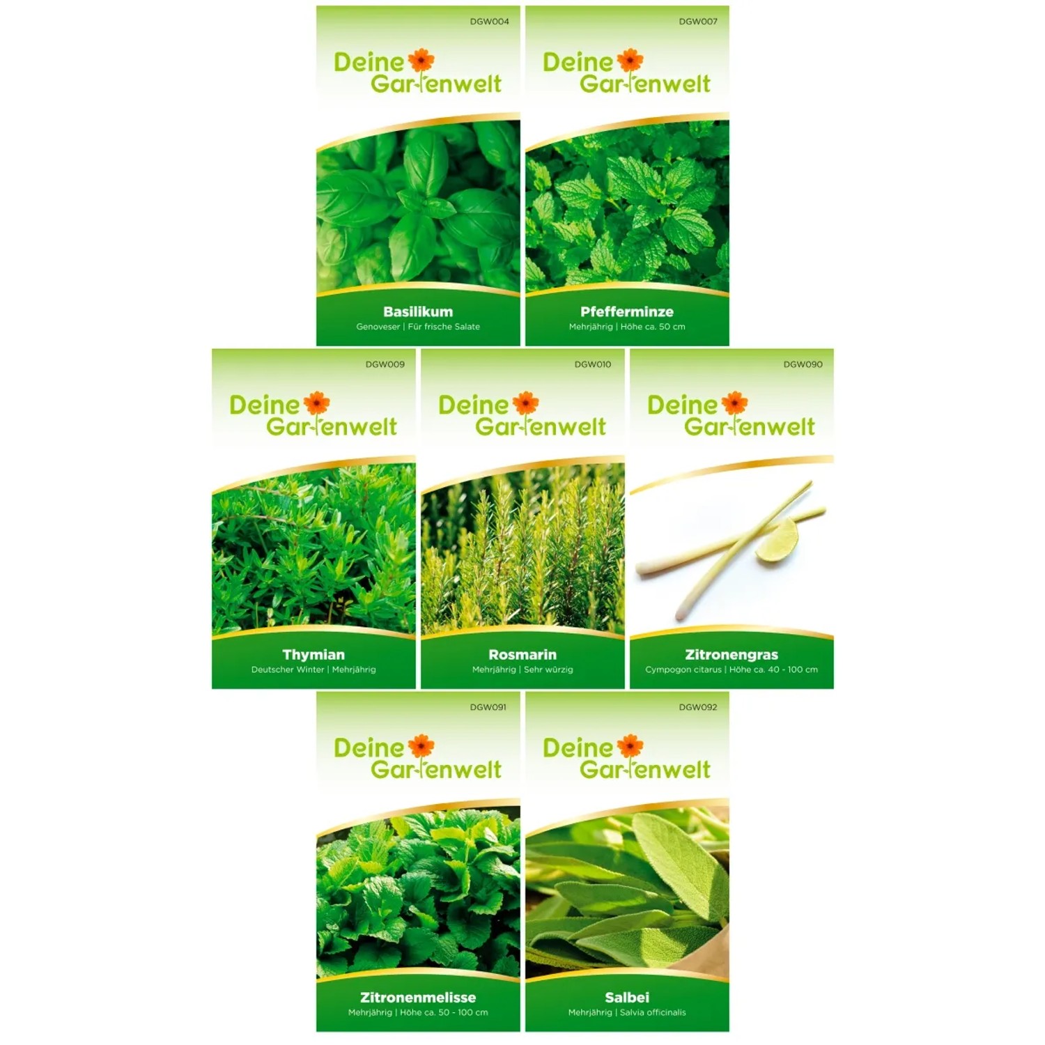 Deine Gartenwelt Cocktail Kräuter Samen-Set mit 7 Sorten: Basilikum, Minze, Thymian, Rosmarin, Zitronengras, Melisse, Salbei.