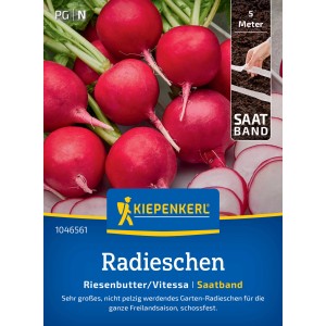 Kiepenkerl Saatgut Radieschen Riesenbutter/Vitessa, Saatband
