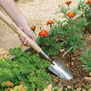 Kent & Stowe Handschaufel Lang im Einsatz beim Pflanzen im Gartenbeet.