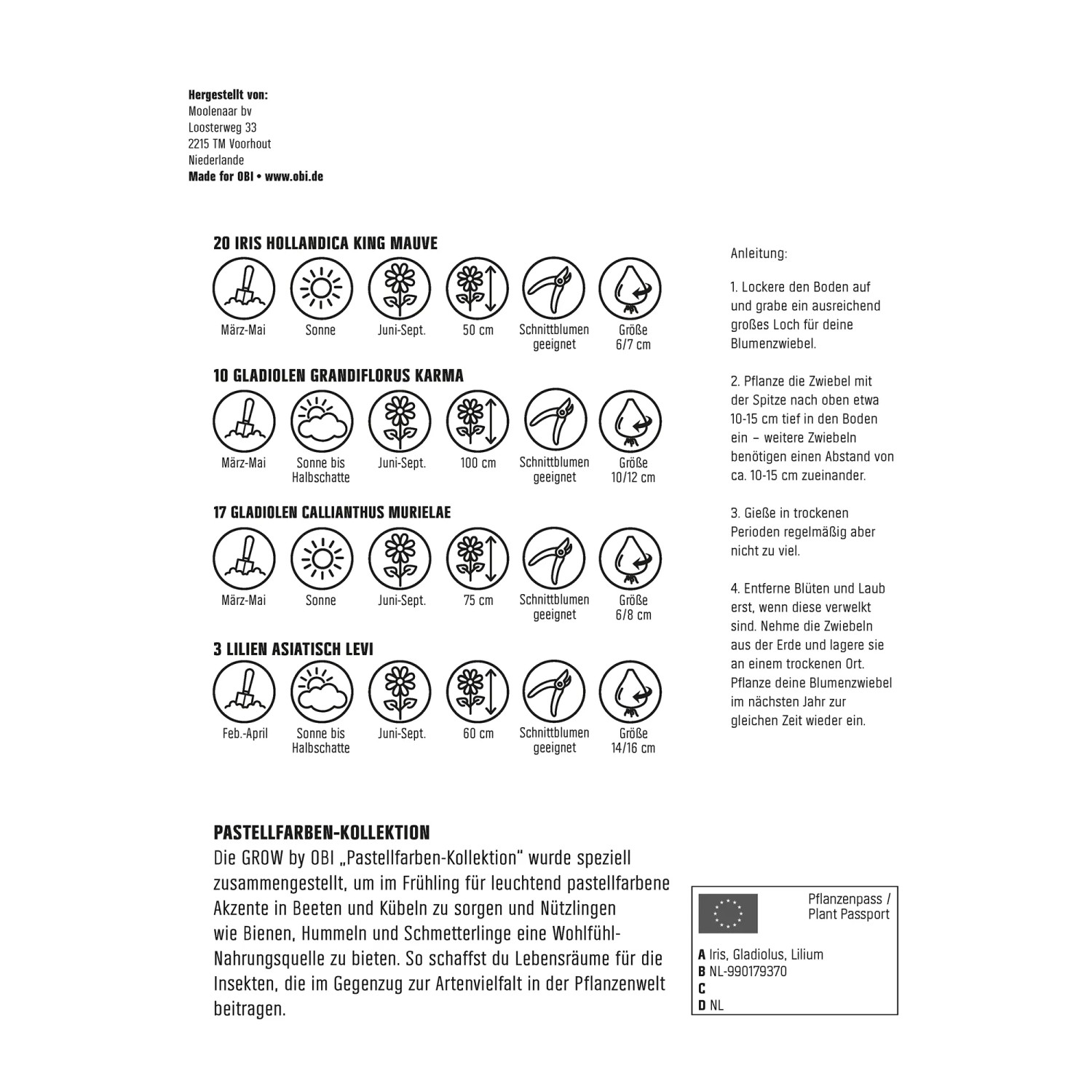 GROW by OBI Pastellfarben-Kollektion: Blumenzwiebeln für Beet und Kübel.