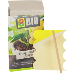 Compo BIO Trauermückenfänger 5 Stück.