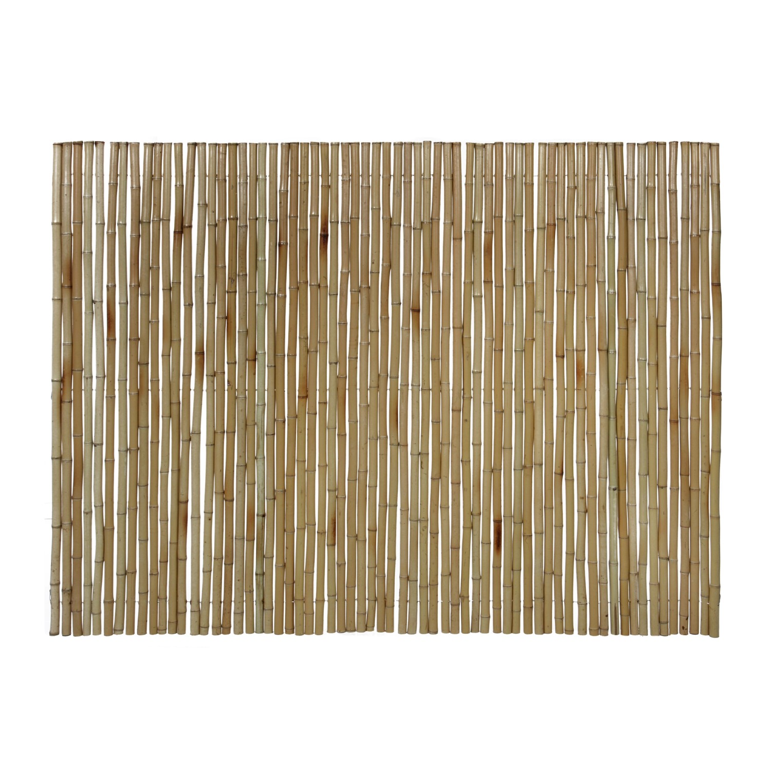 Floraworld Sichtschutz Bambusmatte Gala 90 cm x 300 cm Bambus Hell günstig online kaufen