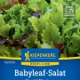 Kiepenkerl Babyleaf-Salat Maraldi Mischung, bunter Pflücksalat für Beet und Hochbeet.