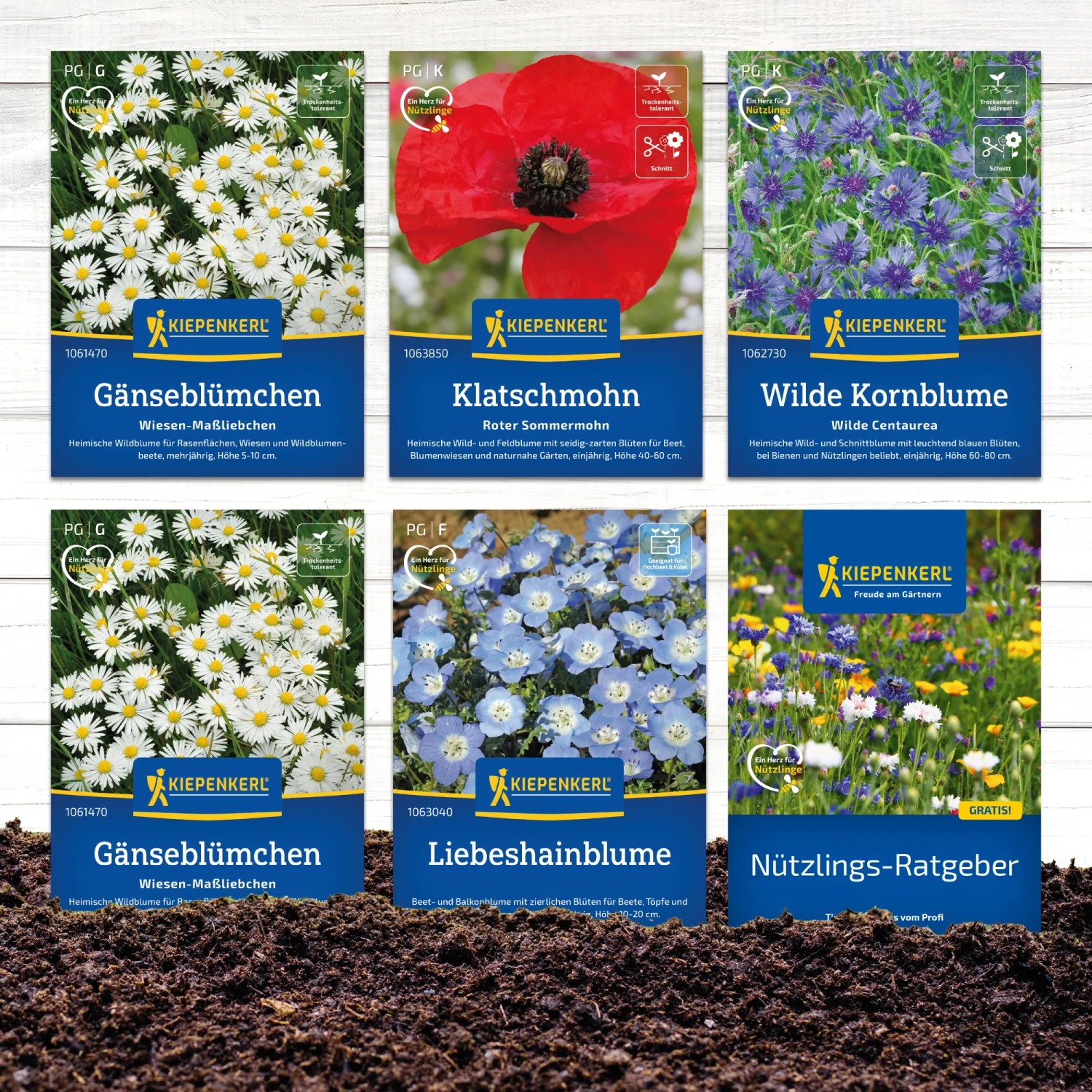 Blumensamen-Set 'Blütenfestival der Natur' mit Gänseblümchen, Klatschmohn, Kornblume und Liebeshainblume.