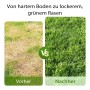 Vorher-Nachher: Trockener Rasen (links) wird zu dichtem, grünem Gras (rechts) durch Aerifizieren. Rasenlüfter Effekt.