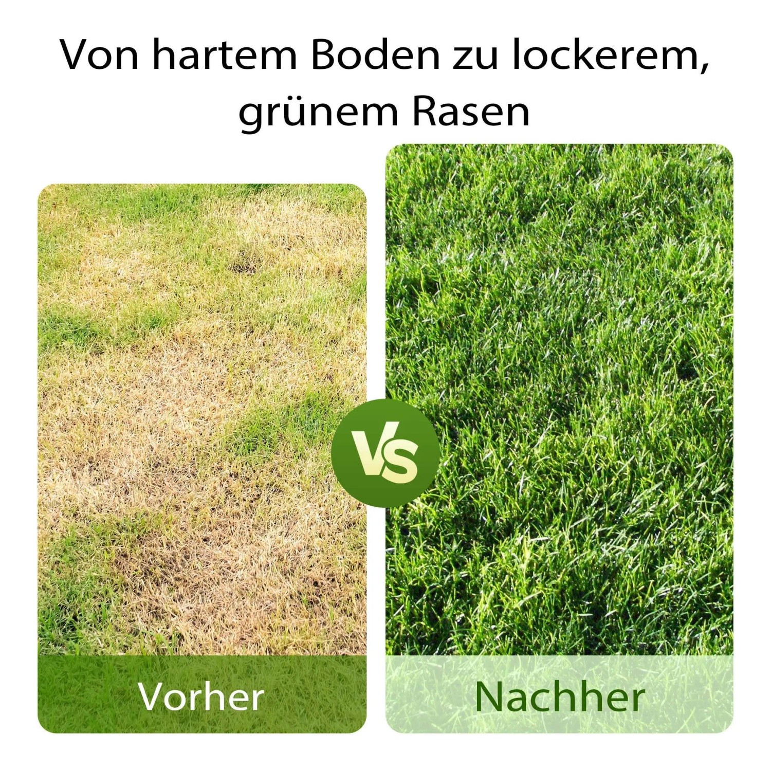 Vorher-Nachher: Trockener Rasen (links) wird zu dichtem, grünem Gras (rechts) durch Aerifizieren. Rasenlüfter Effekt.