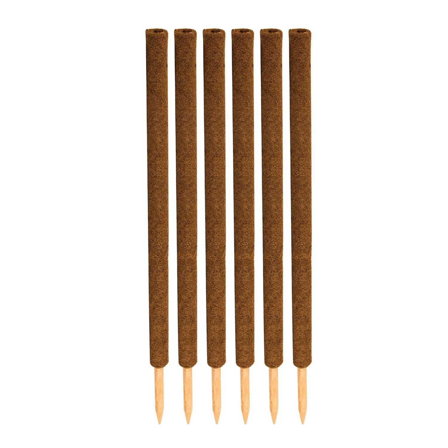 BigDean 4er Set Pflanzstäbe Kokos 110 Cm Monstera Rankhilfe Rankstäbe Pflanzenstäbe Kokosstäbe Verlängerbar_10