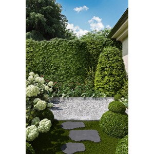 Naturstein Trittsteine Blue-Stone im Garten, 45x35 cm. Dekorative Gartengestaltung mit Naturmaterialien.