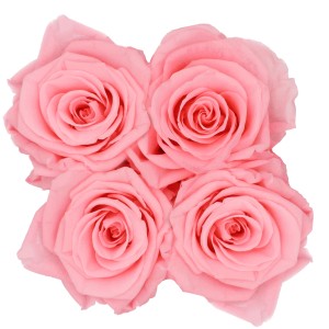 Rosenbox mit 4 rosa Rosen, Durchmesser 10 cm, schwarz-goldene Box.