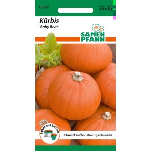 Samenpackung Mini-Kürbis 'Baby Bear': Orangefarbene, kleine Speisekürbisse.