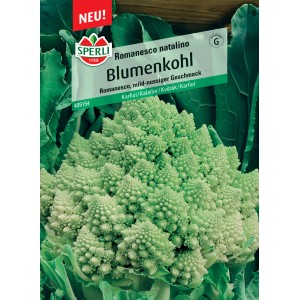 Samenpackung Sperli Blumenkohl Romanesco natalino, hellgrüner, fraktaler Blumenkohlkopf.