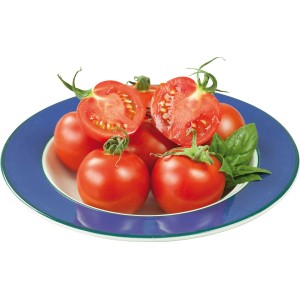 Frische, rote Strauchtomaten der Sorte Grow by OBI auf blauem Teller. Ideal zum Frischverzehr.