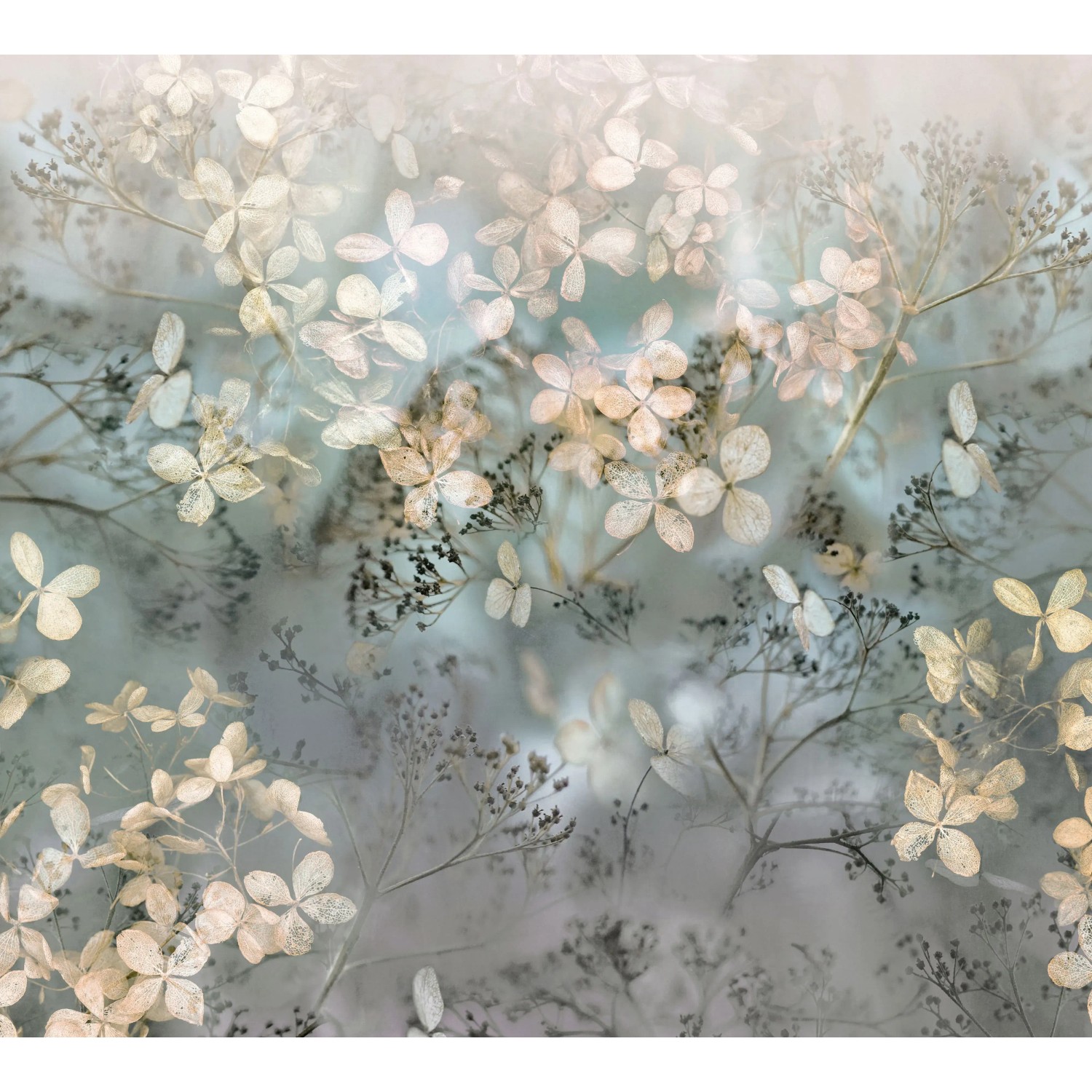 Erismann Fototapete Guido Maria Kretschmer Holunderblüten Beige 3,0m x 2,7m