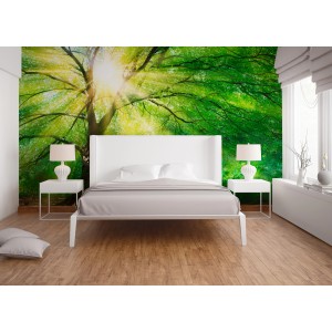 Fototapete Wald mit Sonnenstrahlen in Grün, Gelb und Braun hinter einem Bett.