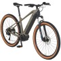 Prophete E-Bike MTB Dice 3.0 in Grau-Schwarz Matt mit 29 Zoll Reifen.
