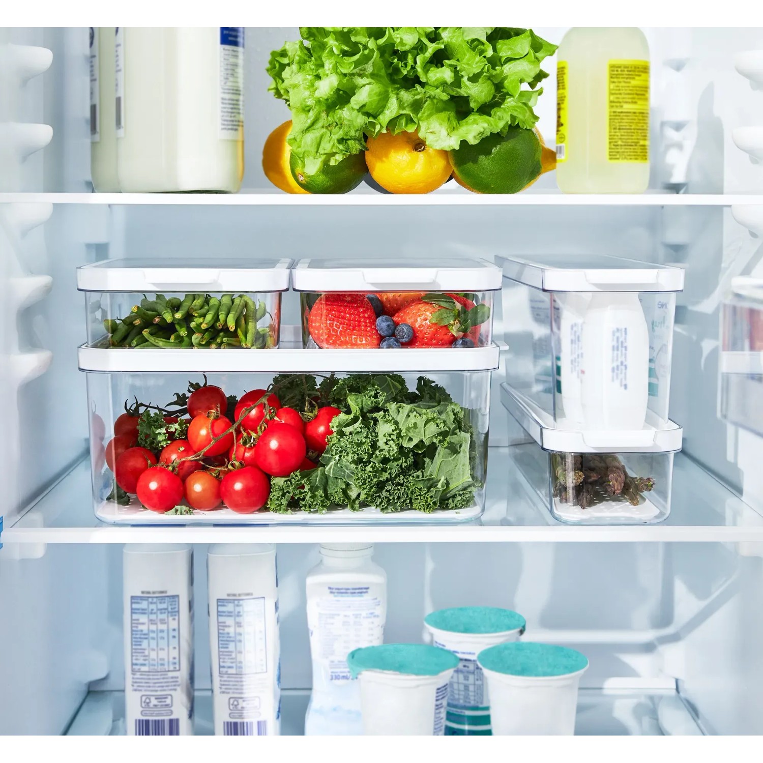 Rotho Cauma Kühlschrankorganizer-Set, 5-teilig, transparent, zur Aufbewahrung von Lebensmitteln im Kühlschrank.