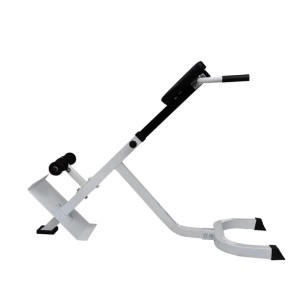 vidaXL Rücken- und Bauchtrainer 90361