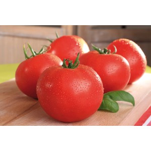 Frische, rote Fleischtomaten der Sorte Grow by OBI auf Holzbrett mit Basilikum.